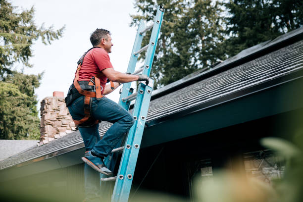 Best Siding  in Harvard, IL